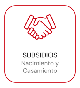 icono subsidios